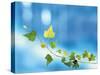 Green Vine of Ivy on Deep Blue-null-Stretched Canvas