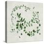 Green Vines I-Asia Jensen-Stretched Canvas