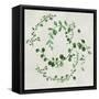 Green Vines II-Asia Jensen-Framed Stretched Canvas