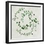 Green Vines II-Asia Jensen-Framed Art Print