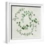 Green Vines II-Asia Jensen-Framed Art Print