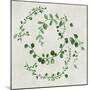 Green Vines II-Asia Jensen-Mounted Art Print