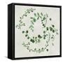 Green Vines II-Asia Jensen-Framed Stretched Canvas