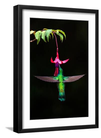 Premium Photographic Print, , large