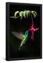 Essential Black