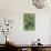Green Violetear (Colibri Thalassinus) Feeding, Savegre, Costa Rica-null-Premium Photographic Print displayed on a wall