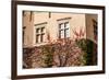 Green Wall of Beauty Old Palace in Pieskowa Skala - Poland, near Cracow.-Curioso Travel Photography-Framed Photographic Print