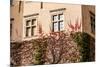 Green Wall of Beauty Old Palace in Pieskowa Skala - Poland, near Cracow.-Curioso Travel Photography-Mounted Photographic Print