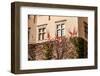 Green Wall of Beauty Old Palace in Pieskowa Skala - Poland, near Cracow.-Curioso Travel Photography-Framed Photographic Print