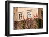 Green Wall of Beauty Old Palace in Pieskowa Skala - Poland, near Cracow.-Curioso Travel Photography-Framed Photographic Print