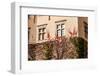 Green Wall of Beauty Old Palace in Pieskowa Skala - Poland, near Cracow.-Curioso Travel Photography-Framed Photographic Print