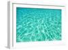 Green Water Background, Elafonisi Beach, Crete, Greece-beerkoff-Framed Photographic Print