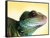 Green Water Dragon-null-Framed Stretched Canvas