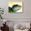 Green Water Dragon-null-Stretched Canvas displayed on a wall