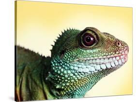 Green Water Dragon-null-Stretched Canvas