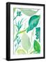 Green Water Leaves II-Kat Papa-Framed Art Print