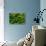 Green Water-Ursula Abresch-Stretched Canvas displayed on a wall