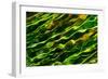 Green Water-Ursula Abresch-Framed Photographic Print