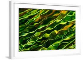 Green Water-Ursula Abresch-Framed Photographic Print