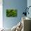 Green Water-Ursula Abresch-Mounted Photographic Print displayed on a wall