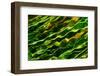 Green Water-Ursula Abresch-Framed Photographic Print