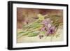 Green Wheat and Wild Flowers-Helen Cordelia Coleman Angell-Framed Giclee Print