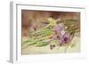 Green Wheat and Wild Flowers-Helen Cordelia Coleman Angell-Framed Giclee Print