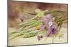 Green Wheat and Wild Flowers-Helen Cordelia Coleman Angell-Mounted Giclee Print