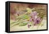 Green Wheat and Wild Flowers-Helen Cordelia Coleman Angell-Framed Stretched Canvas