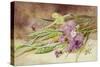 Green Wheat and Wild Flowers-Helen Cordelia Coleman Angell-Stretched Canvas