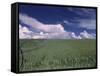 Green Wheat Field, Clouds, Agriculture Fruitland, Idaho, USA-Gerry Reynolds-Framed Stretched Canvas