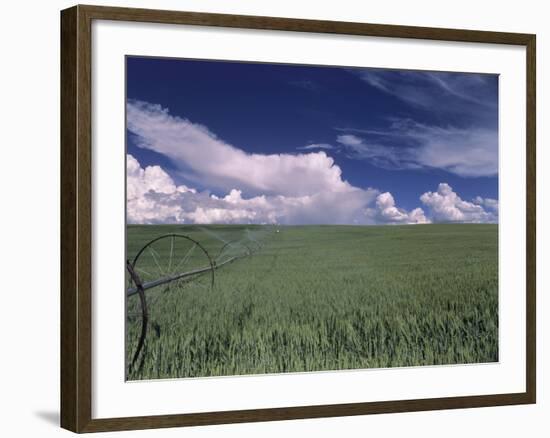 Green Wheat Field, Clouds, Agriculture Fruitland, Idaho, USA-Gerry Reynolds-Framed Photographic Print