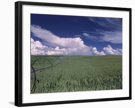 Green Wheat Field, Clouds, Agriculture Fruitland, Idaho, USA-Gerry Reynolds-Framed Photographic Print