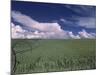 Green Wheat Field, Clouds, Agriculture Fruitland, Idaho, USA-Gerry Reynolds-Mounted Photographic Print