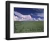 Green Wheat Field, Clouds, Agriculture Fruitland, Idaho, USA-Gerry Reynolds-Framed Photographic Print