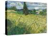 Green Wheat Field with Cypress-Vincent van Gogh-Stretched Canvas