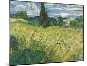 Green Wheat Field with Cypress-Vincent van Gogh-Mounted Giclee Print