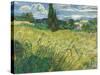 Green Wheat Field with Cypress-Vincent van Gogh-Stretched Canvas