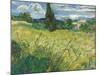Green Wheat Field with Cypress-Vincent van Gogh-Mounted Giclee Print