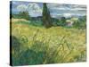 Green Wheat Field with Cypress-Vincent van Gogh-Stretched Canvas