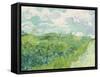 Green Wheat Fields, Auvers, 1890-Vincent van Gogh-Framed Stretched Canvas