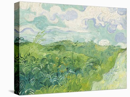 Green Wheat Fields, Auvers, 1890-Vincent van Gogh-Stretched Canvas