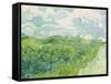 Green Wheat Fields, Auvers, 1890-Vincent van Gogh-Framed Stretched Canvas