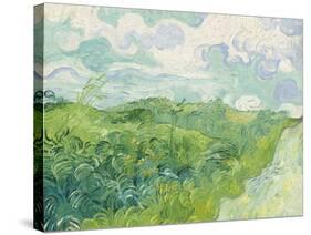 Green Wheat Fields, Auvers, 1890-Vincent van Gogh-Stretched Canvas