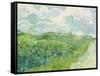 Green Wheat Fields, Auvers, 1890-Vincent van Gogh-Framed Stretched Canvas