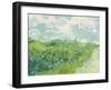 Green Wheat Fields, Auvers, 1890-Vincent van Gogh-Framed Premium Giclee Print