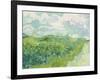 Green Wheat Fields, Auvers, 1890-Vincent van Gogh-Framed Giclee Print