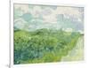 Green Wheat Fields, Auvers, 1890-Vincent van Gogh-Framed Giclee Print