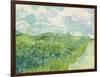 Green Wheat Fields, Auvers, 1890-Vincent van Gogh-Framed Giclee Print