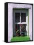 Green Window in Traditional House, Cashel, County Tipperary, Munster, Republic of Ireland, Europe-Patrick Dieudonne-Framed Stretched Canvas